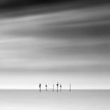 The Team, 1/1 Awarded Single Edition Fine Art Print by Frank Peters