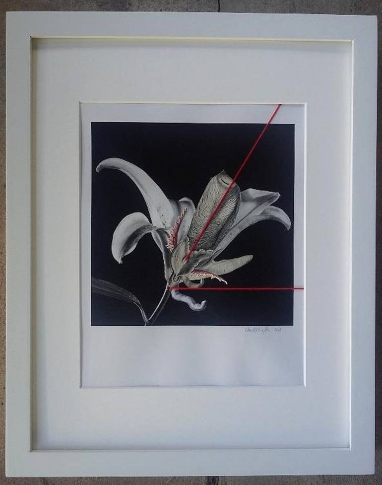 Original Figurative Botanic Collage by Axelle Kieffer