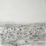 Collection Landscape
