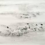 Collection Landscape
