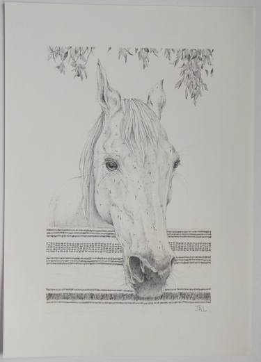 Original Horse Drawings by J A L art