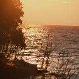 sun - Limited Edition 7 of 9 by Matej Delic
