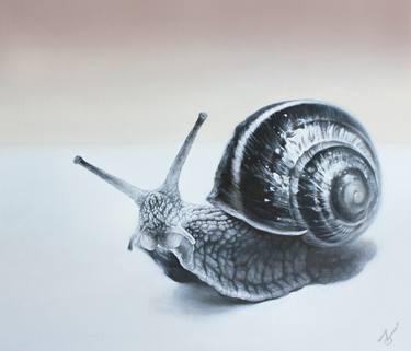Print of Animal Paintings by Yuko Montgomery