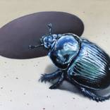 The Crawler 2. by Yuko Montgomery