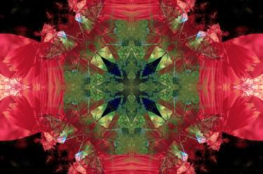 Original Abstract Photography by Gigi Conot