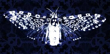 Saatchi Art Artist Gigi Conot; Photography, “Leopard Moth - Limited Edition of 10” #art