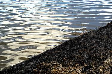 Print of Abstract Nature Photography by Biljana Đukić