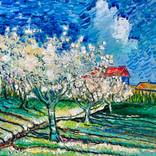 Cherry blossoms by Roman Sleptsuk