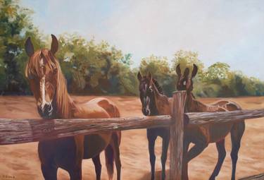 Original Horse Paintings by Anne Zamo