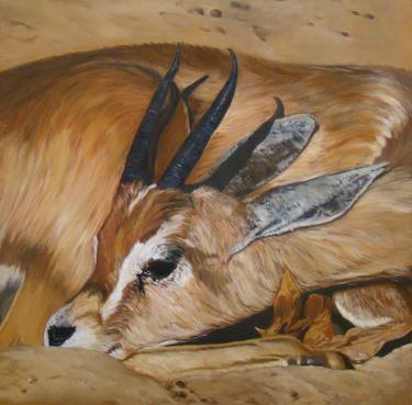 Original Animal Paintings by Anne Zamo