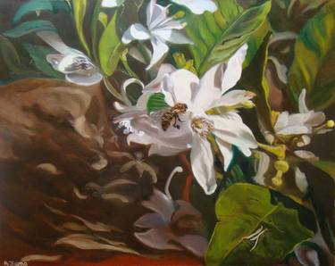 Original Fine Art Floral Paintings by Anne Zamo