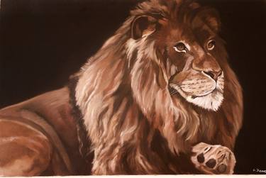 Original Animal Paintings by Anne Zamo