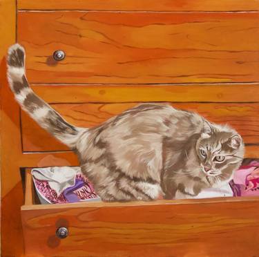Ghibli in the chest of drawers, portrait of a grey cat thumb