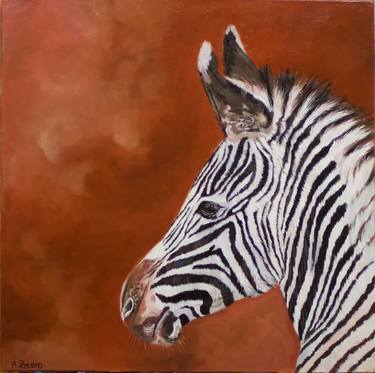 Baby Zebra Portrait thumb
