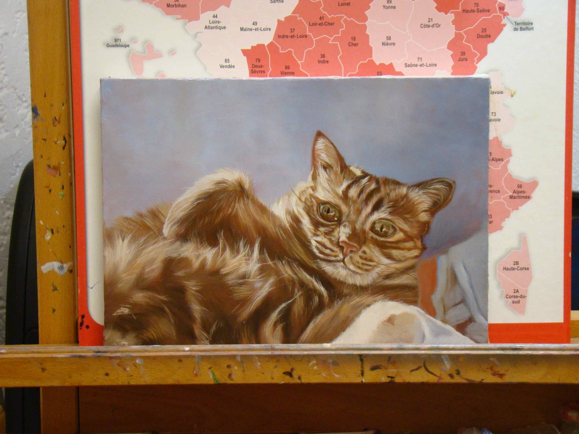 Khéops Portrait Of A Ginger Cat