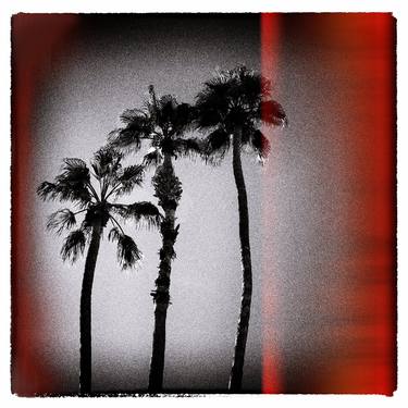 Palm Trees, Palm Springs - Limited Edition of 150 thumb