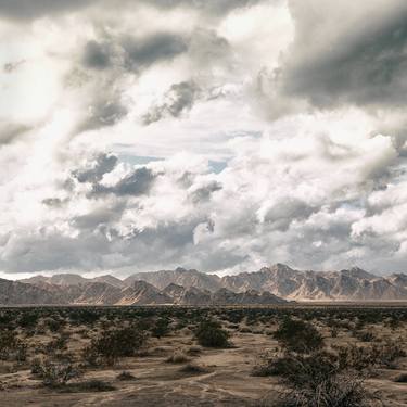 November Storm, Joshua Tree - Limited Edition of 150 thumb