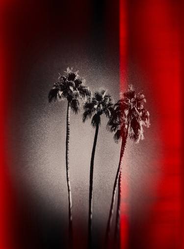 Palm Tree Skies, Palm Springs - Limited Edition of 150 thumb