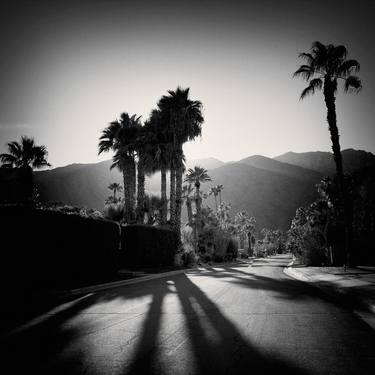 Late Shadows, Twin Palms - Limited Edition of 150 thumb