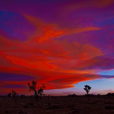 Mojave Sunset, Joshua Tree thumb