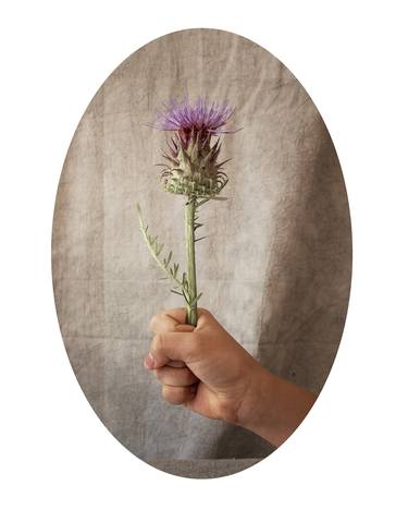 Original Conceptual Floral Photography by Lía Garcia