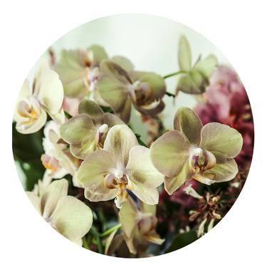 Orchids' bouquet size LARGE - Limited Edition 1 of 15 thumb