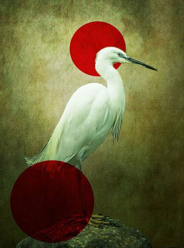 White Heron - Limited Edition of 6 thumb