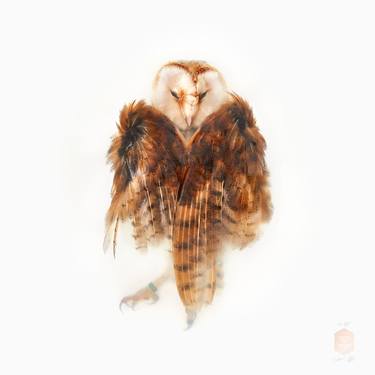 Original Fine Art Animal Photography by Sinke van Tongeren