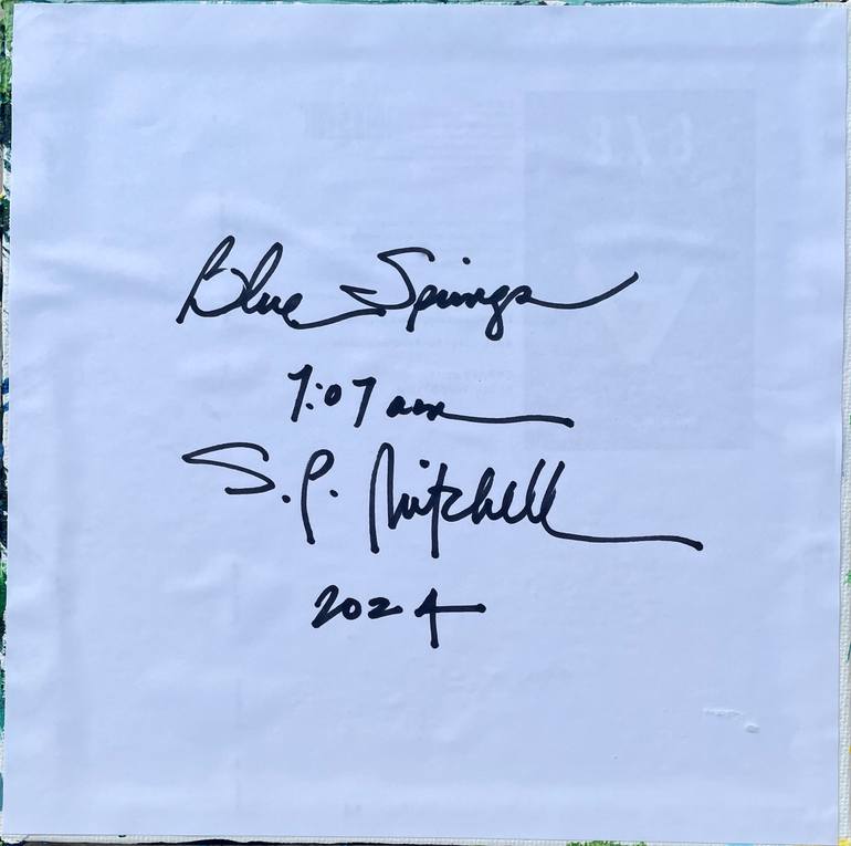 Original Abstract Expressionism Abstract Painting by Sandra Page Mitchell