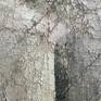 Emotional Landscapes