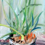 Onions by Zakhar Shevchuk