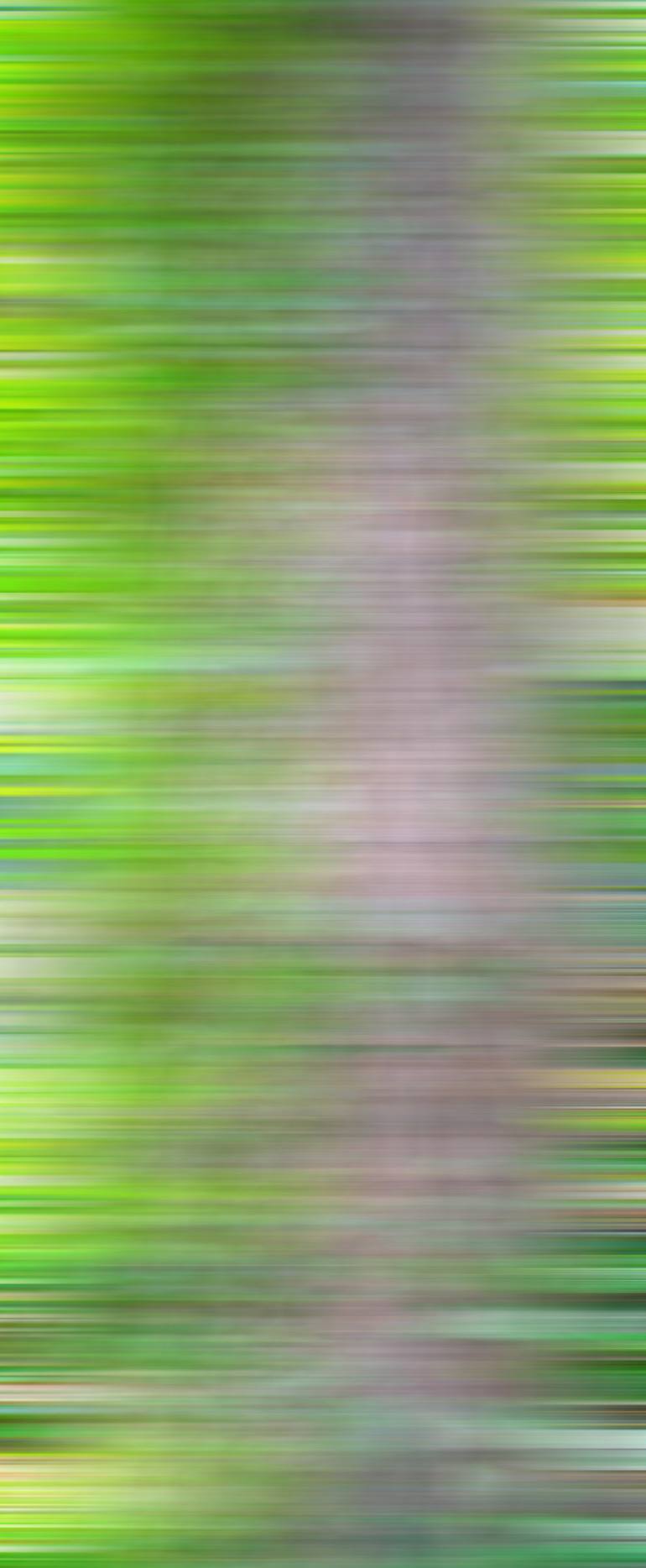 Original Abstract Photography by James Mathews