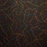 Interferences by Isabelle Amante