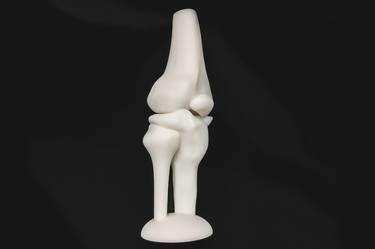 Human Anatomy Knee - Smooth white 3D print thumb