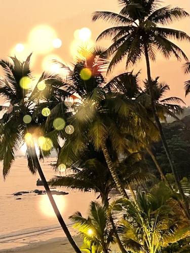 Sunset, Palm Trees And Glistening Water thumb