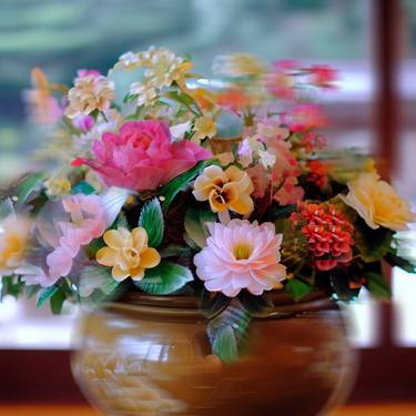 Original Floral Photography by Mona Vayda