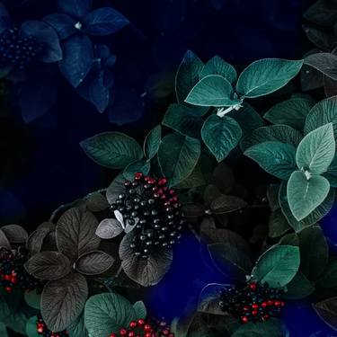 Original Abstract Garden Digital by Mona Vayda