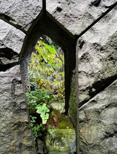 Nature Through A Wall Series No. 4 thumb