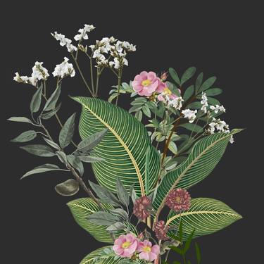 Original Floral Digital by Mona Vayda