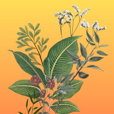 Print of Modern Floral Digital by Mona Vayda