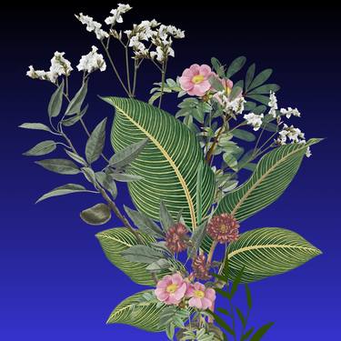 Print of Floral Digital by Mona Vayda