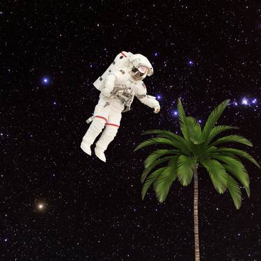 Out In Space: Hooray The Palm Tree Is Everywhere Series No. 9 thumb