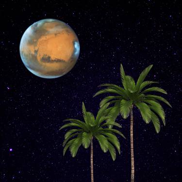 View Of Mars: Hooray The Palm Tree Is Everywhere Series No. 15 thumb
