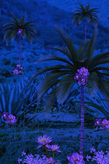 Midnight Blue (Exotic Landscape Collection No. 2) thumb