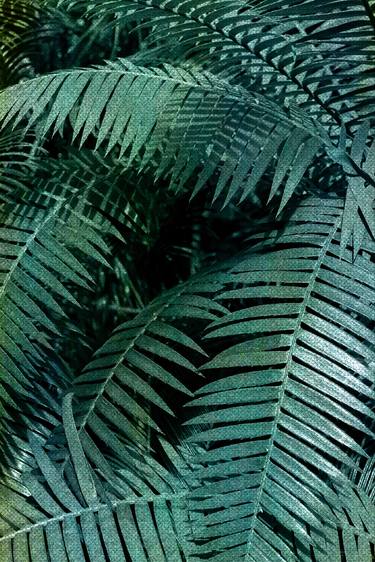 Print of Abstract Botanic Photography by Mona Vayda