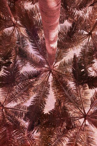 Print of Abstract Botanic Photography by Mona Vayda