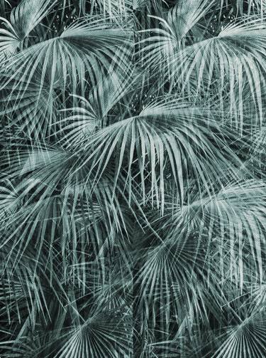 Original Abstract Botanic Photography by Mona Vayda