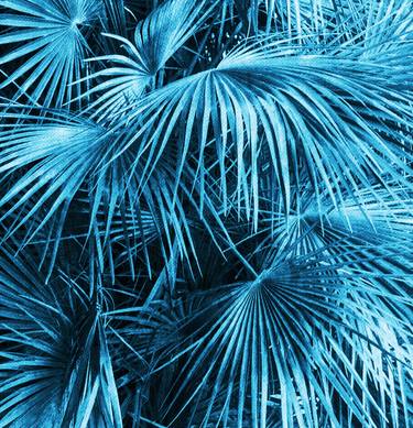 Original Abstract Botanic Photography by Mona Vayda