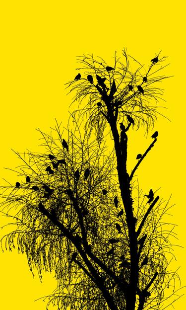 Original Abstract Animal Digital by Mona Vayda