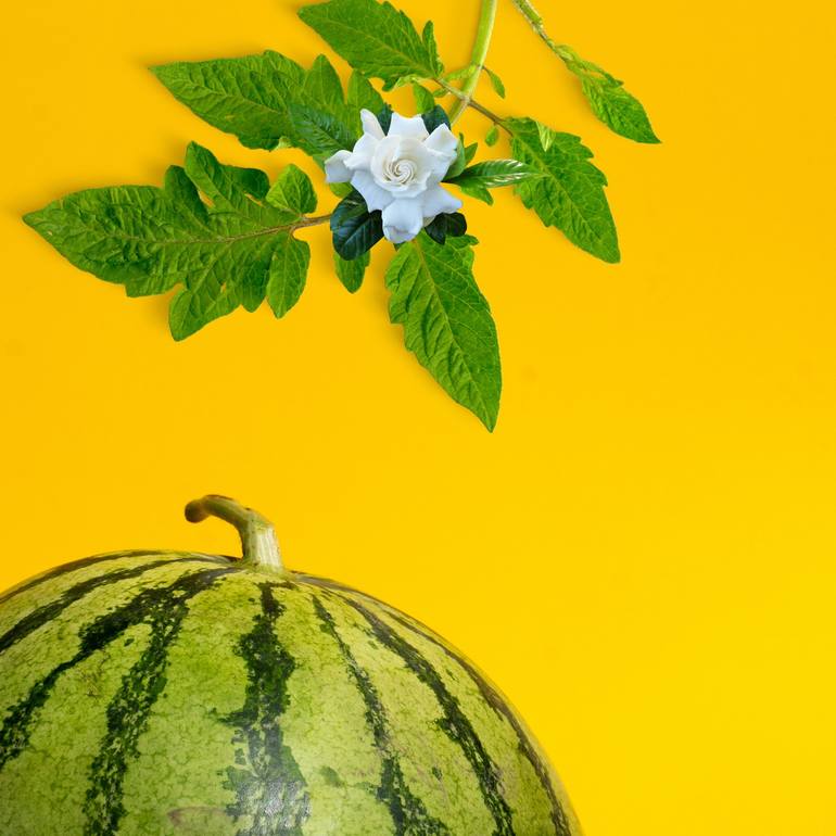 メイ How to fix a mechanical keyboard key that is not working and